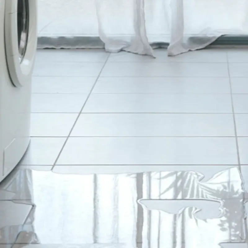 Appliance Leak Cleanup in Ledbetter, KY