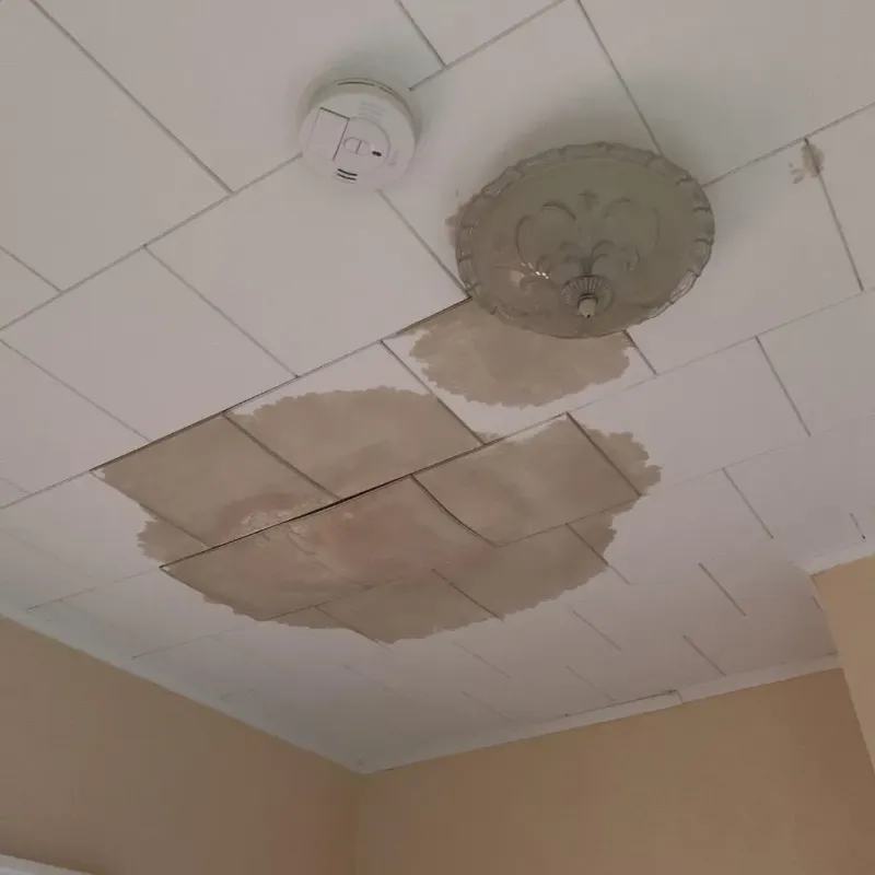 Ceiling Water Damage Repair in Ledbetter, KY