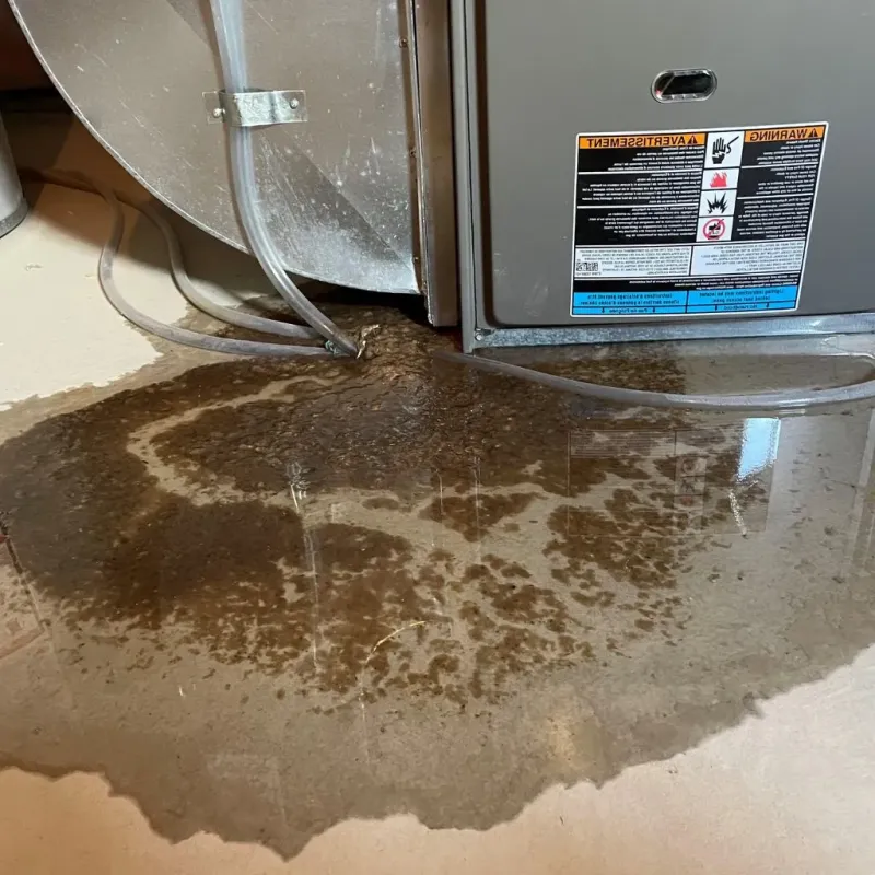 Pipe Burst and Leak Restoration in Ledbetter, KY