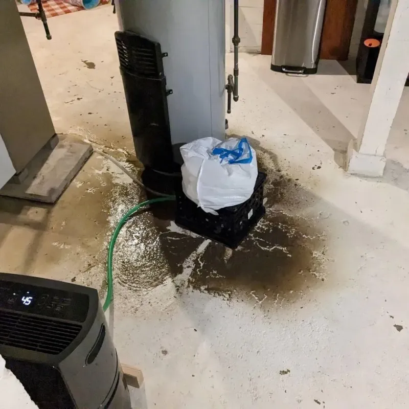 Sewage Backup Cleanup Service in Ledbetter, KY